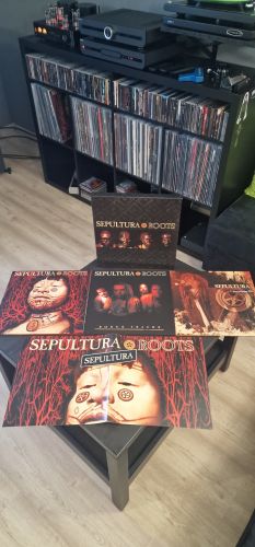 Didzis, Rujiena Didzis, Rujiena