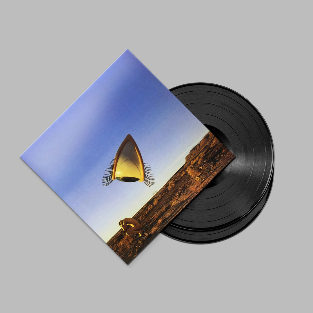 CRANBERRIES: płyty winylowe, albumy LP i single - sklep