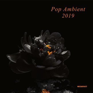 V/A Pop Ambient 2019 2LP