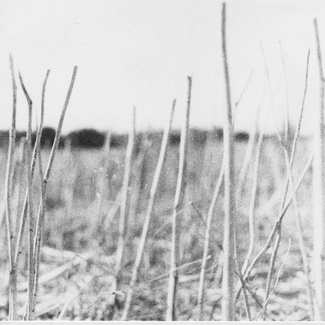 RECONDITE On Acid 2LP