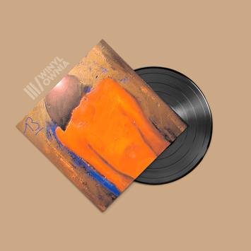 BLUR 13 2LP