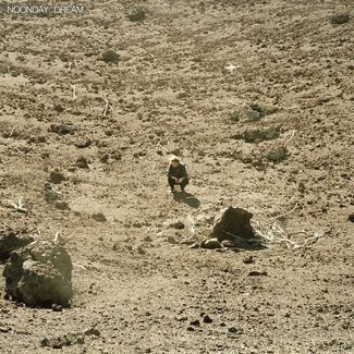 BEN HOWARD Noonday Dream  2LP
