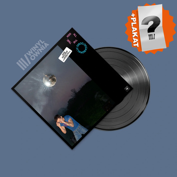 HARRY STYLES Kiss All The Time. Disco, Occasionally LP INDIE