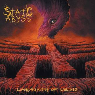 STATIC ABYSS Labyrinth Of Veins LP