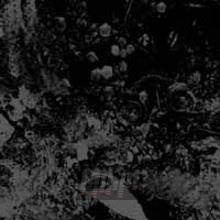 PRIMITIVE MAN AND UNEARTHLY TRANCE Split LP