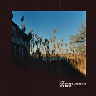 CINEMATIC ORCHESTRA Ma Fleur 2LP