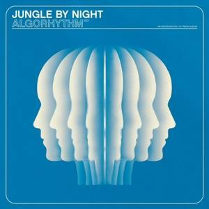 JUNGLE BY NIGHT Algorhythm LP