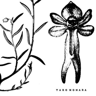 TARO NOHARA Poly-Time Soundscapes / Forest Of The Shrine LP