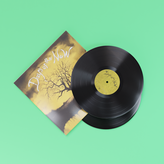 DAYS OF THE NEW Days Of The New 2 LP MOV