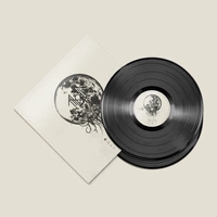 LP || Vinyl || Album