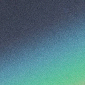 JOJI Smithereens LP