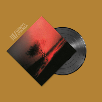 JOJI Piss In The Wind LP