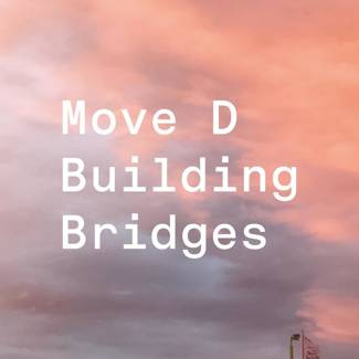 MOVE D Building Bridges 2LP