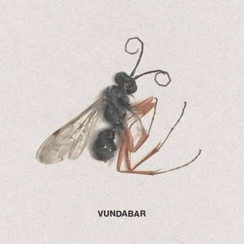 VUNDABAR Good Old CITRUS LP