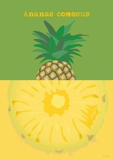 Ananas PLAKAT