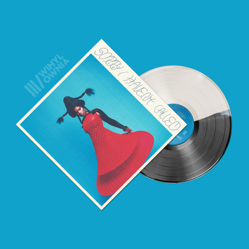 VAGABON Sorry I Haven't Called LP