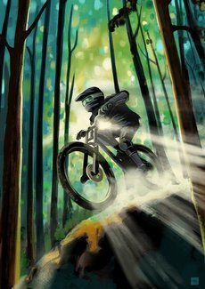 Forest biker PLAKAT