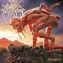 CATTLE DECAPITATION Terrasite MARBLED 2LP