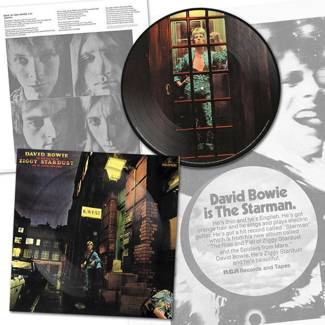 DAVID BOWIE The Rise And Fall Of Ziggy Stardust LP PICTURE DISC