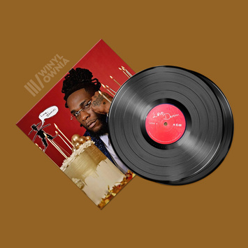 BURNA BOY Love, Damini 2LP