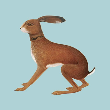 VASHTI BUNYAN Lookaftering – Expanded Edition 2LP
