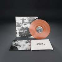 Vinyl || Translucent Orange Crush || LP