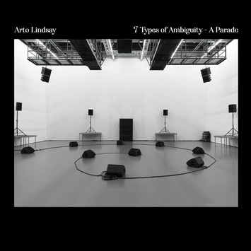 ARTO LINDSAY 7 Types of Ambiguity - A Parade LP