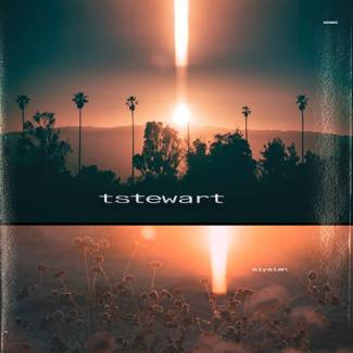 TSTEWART Elysian (lp) LP