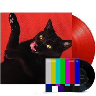 ADAMS, RYAN Big Colors 2LP