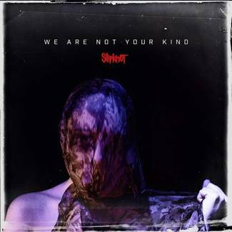 SLIPKNOT We Are Not Your Kind 2LP