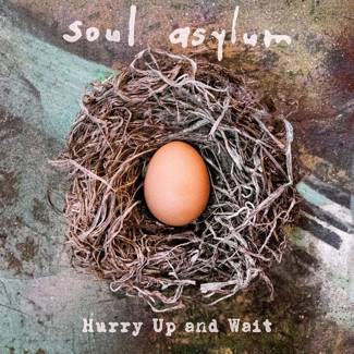 SOUL ASYLUM Hurry Up And Wait 2LP