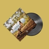 LEON BRIDGES