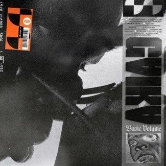 GAIKA Basic Volume 2LP