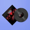 Vinyl || LP || Album