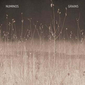 NUMINOS Grains LP