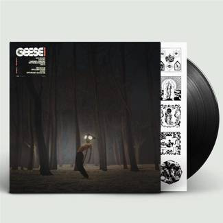 GEESE Projector LP