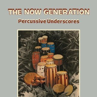 PETER LÜDEMANN & PIT TROJA The Now Generation (Percussive Underscores) LP