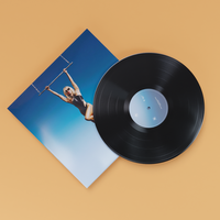 LP || Vinyl || Album