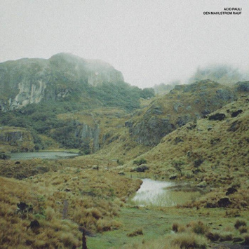 ACID PAULI Den Mahlstrom rauf 12"