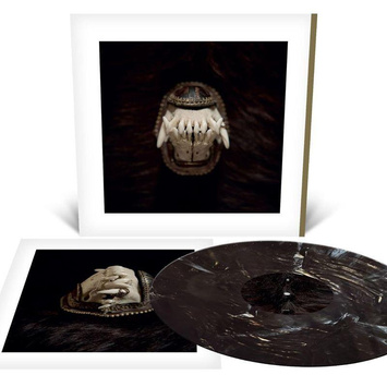 AMENRA De Toorn LP