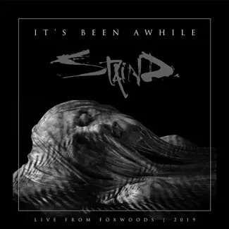 STAIND It’s Been A While 2LP