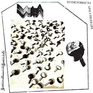 YOSHIMIOIZUMIKIYOSHIDUO To The Forest To Live A Truer Life BLACK LP