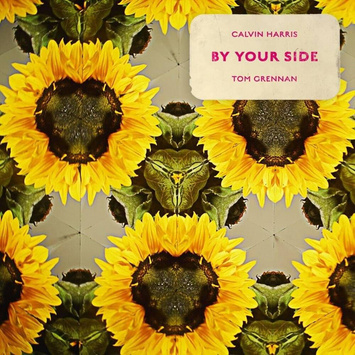 CALVIN HARRIS FEAT. TOM GRENNAN By Your Side LP