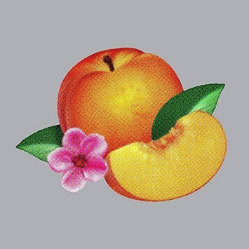 PHOENIX Bankrupt LP