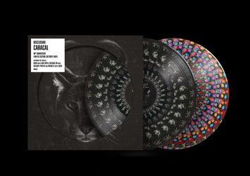 DISCLOSURE Caracal 2lp / 2025 2LP
