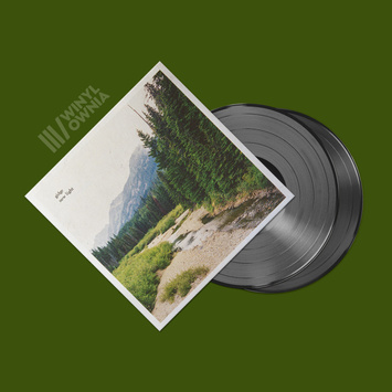 GIDGE New Light 2LP