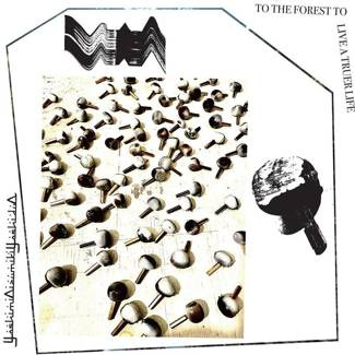 YOSHIMIOIZUMIKIYOSHIDUO To The Forest To Live A Truer Life WHITE LP