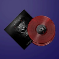 LP || Vinyl || Album || Marbled