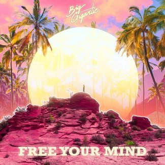 BIG GIGANTIC Free Your Mind 2LP