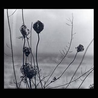 RECONDITE Placid 2LP